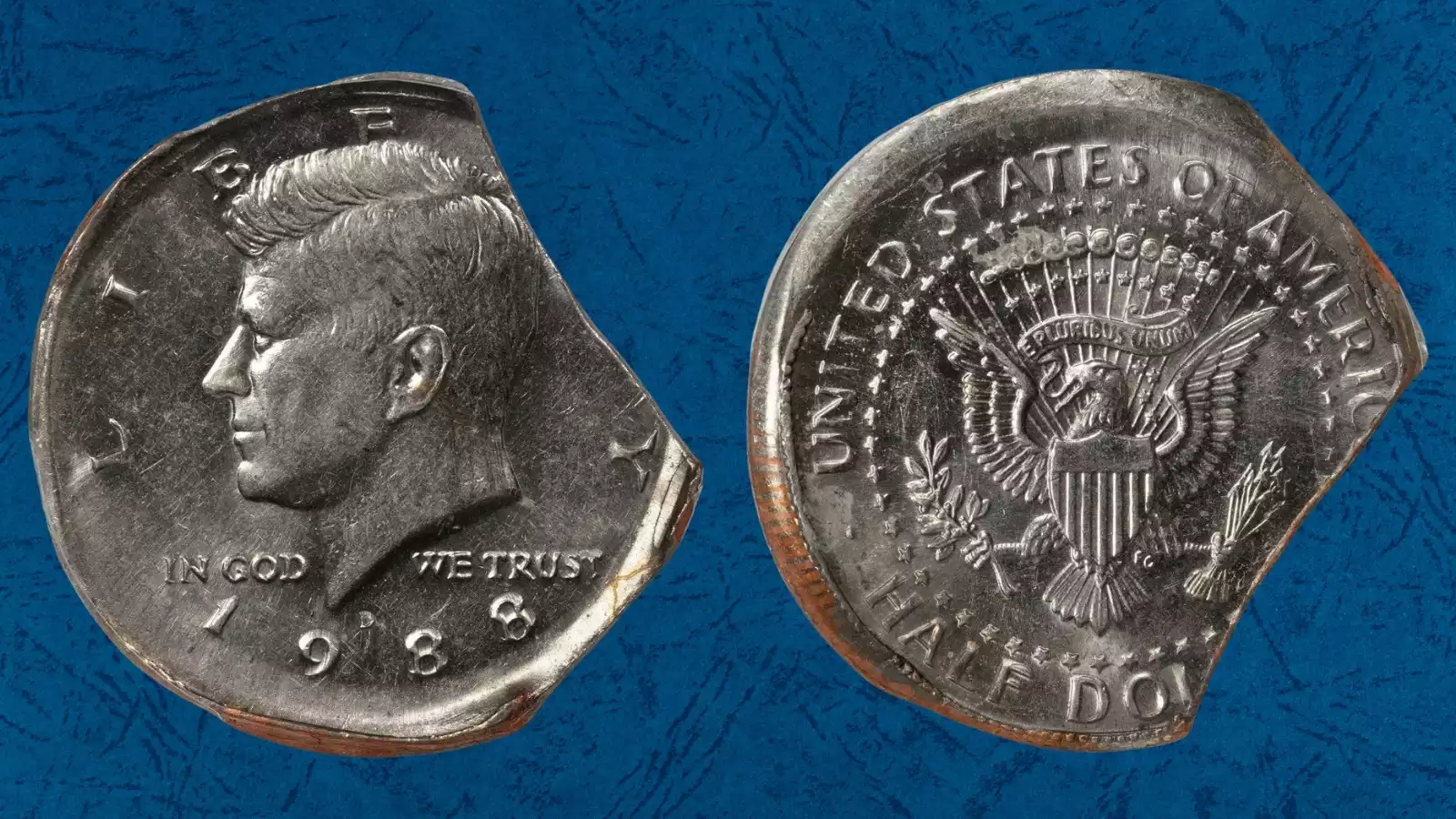 1988 Kennedy half dollar double clip and broadstrike error showing two curved planchet clips and expanded design spread from missing collar